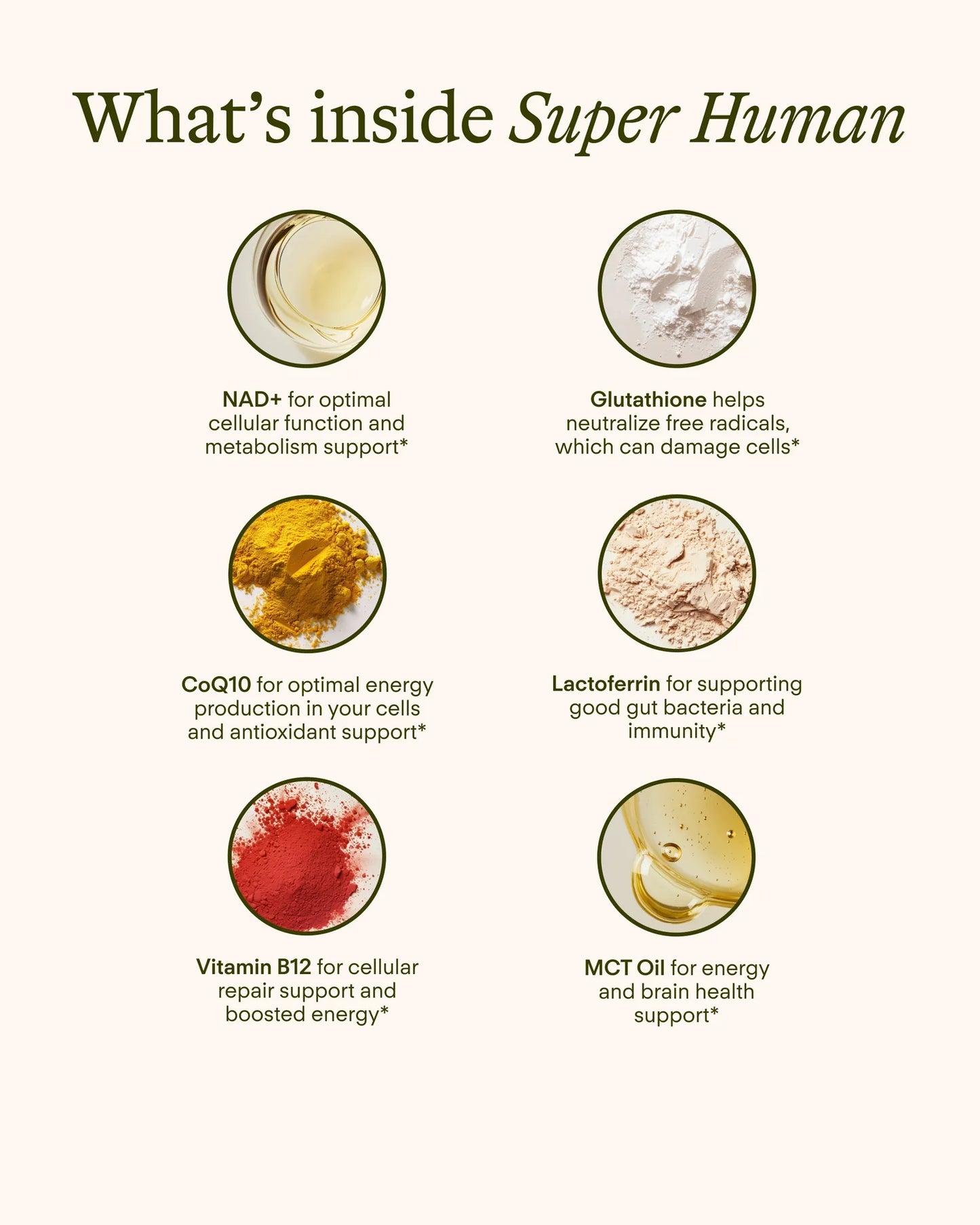 Sunny Within - Super Human Longevity