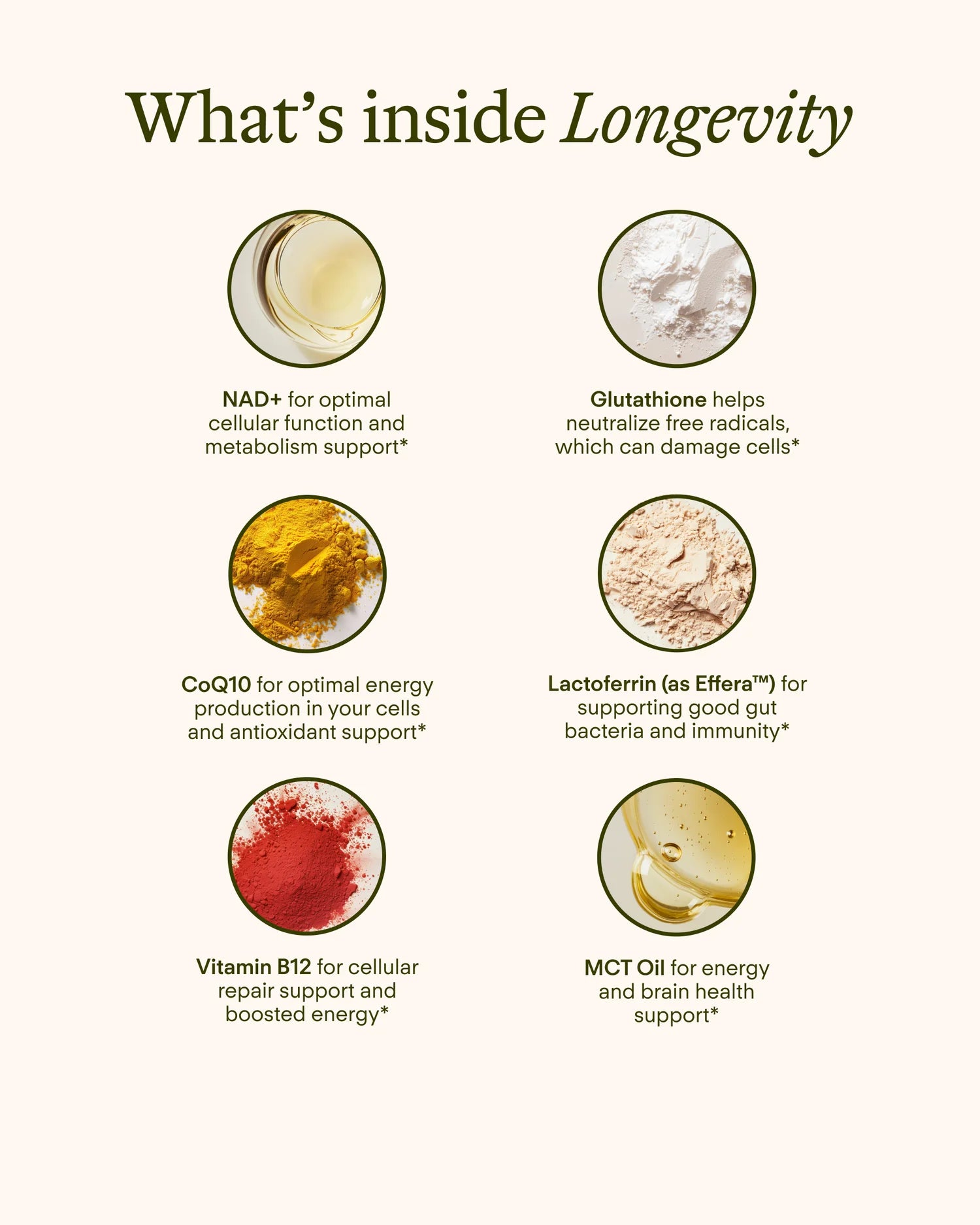 Sunny Within Longevity