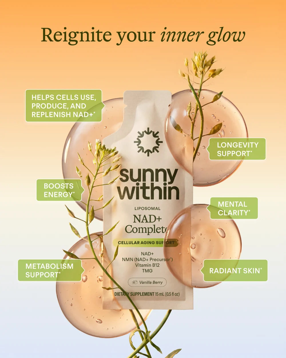 Sunny Within NAD+Complete