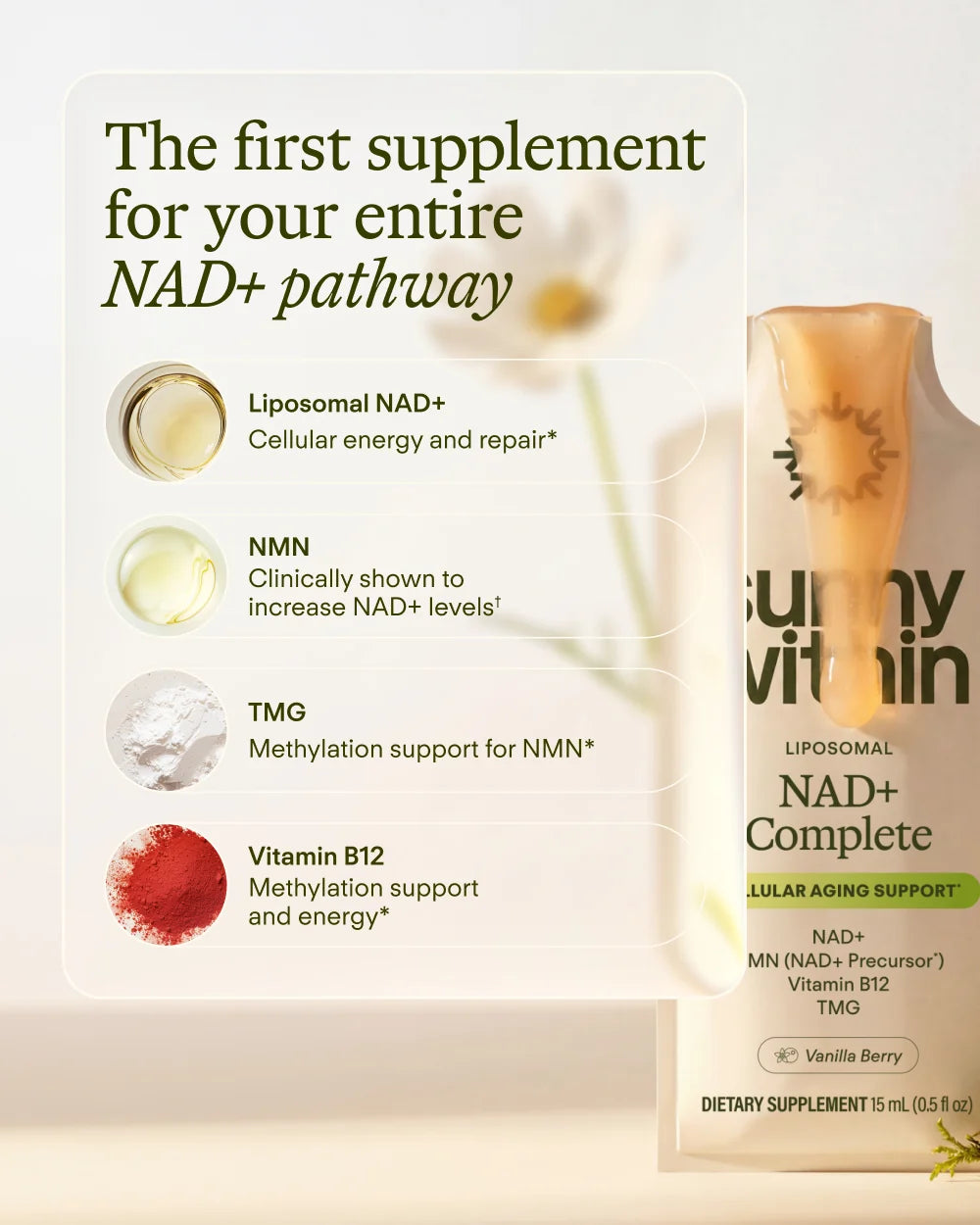 Sunny Within NAD+Complete