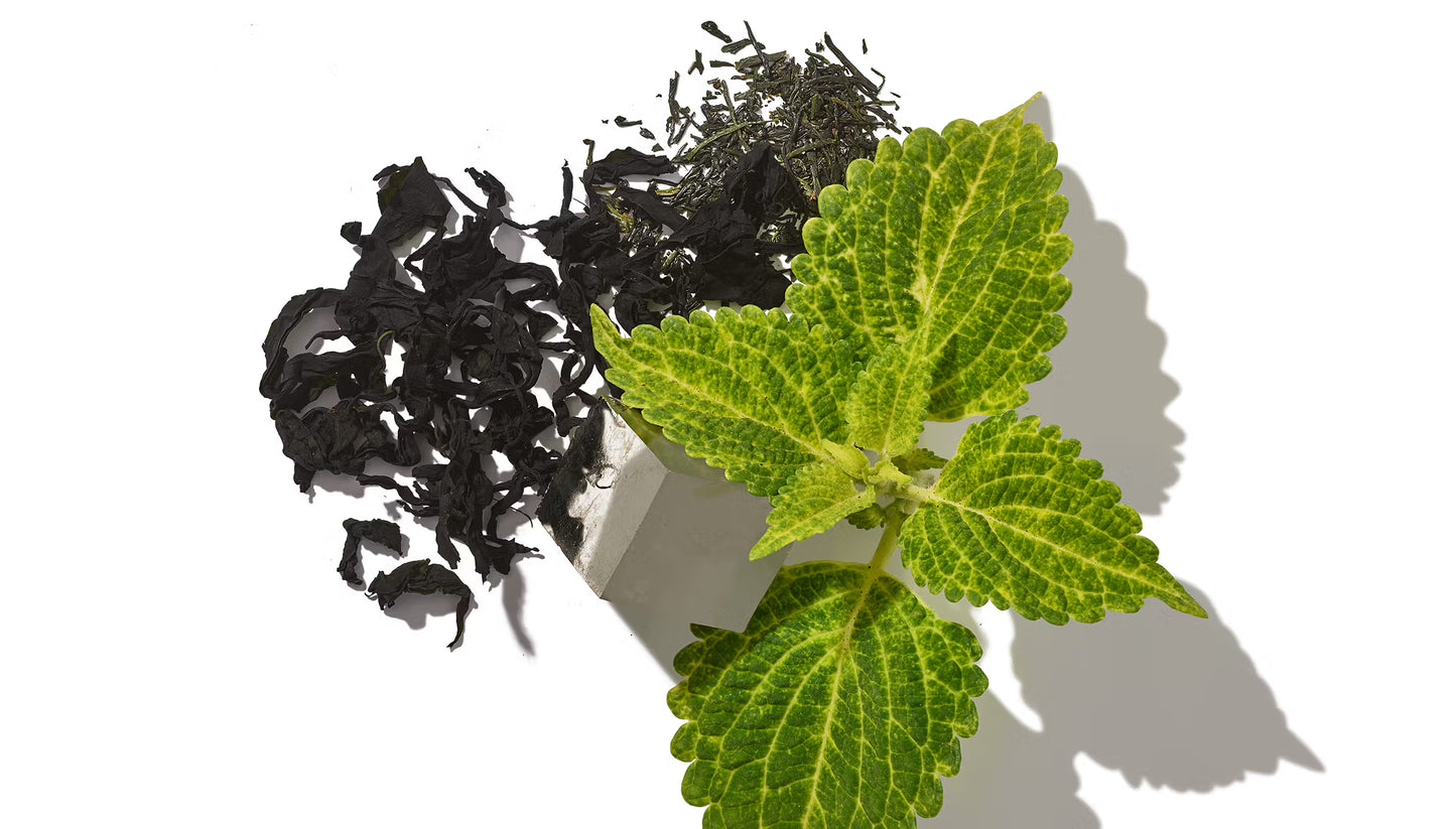 Hum Nutrition  Counter Cravings